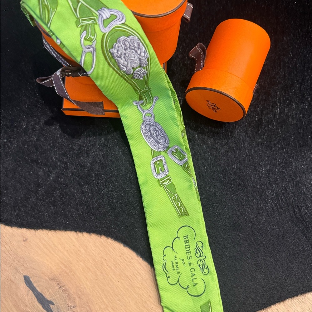 Hermès Paris Silk Twilly